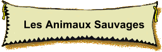 Les Animaux Sauvages