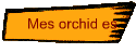 Mes orchides